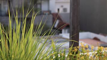 A close-up of green grass with a blurred background of buildings.
