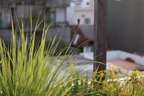 A close-up of green grass with a blurred background of buildings. - Nha Binh Homestay (Da Nang)