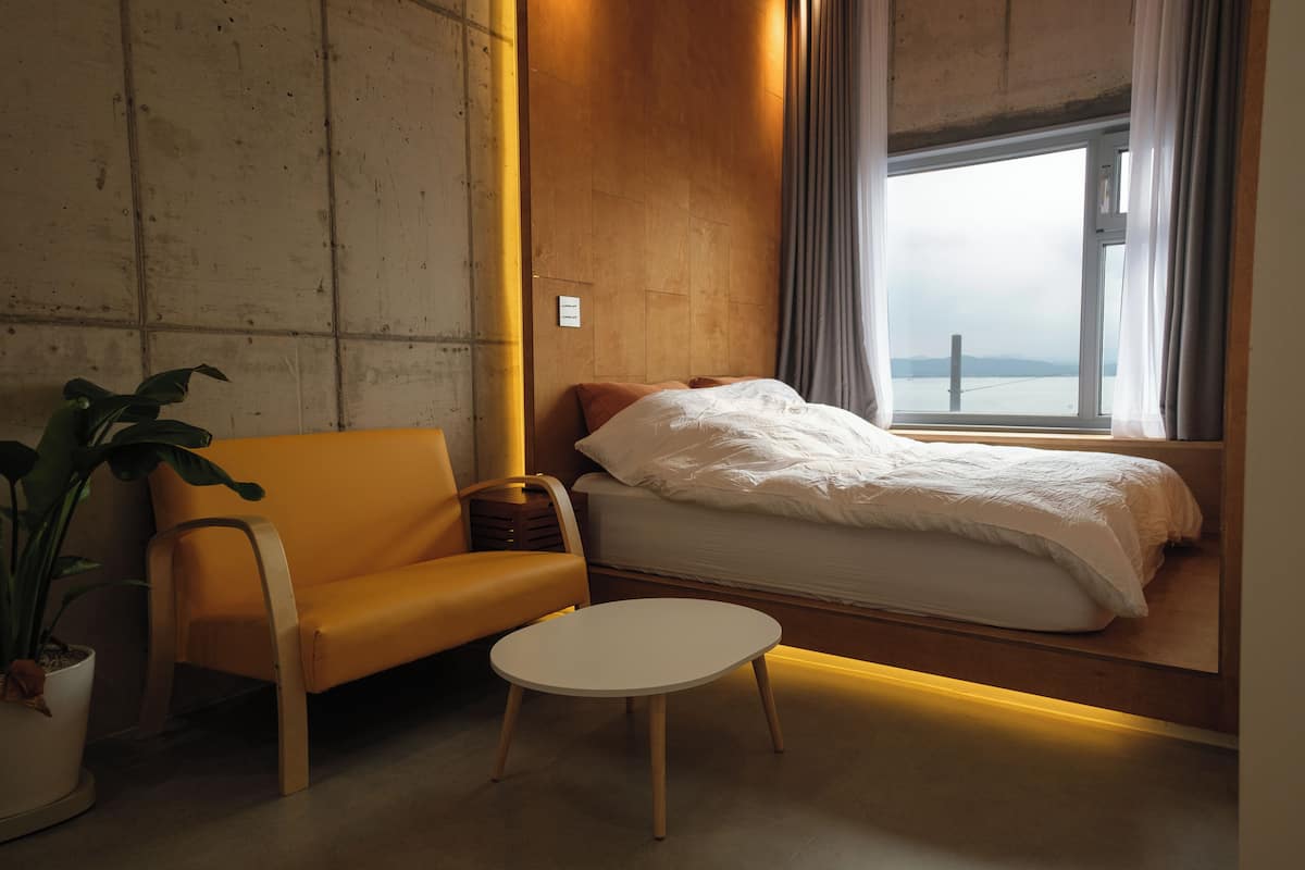 A modern room with a bed, a sofa, a small table, and a potted plant.