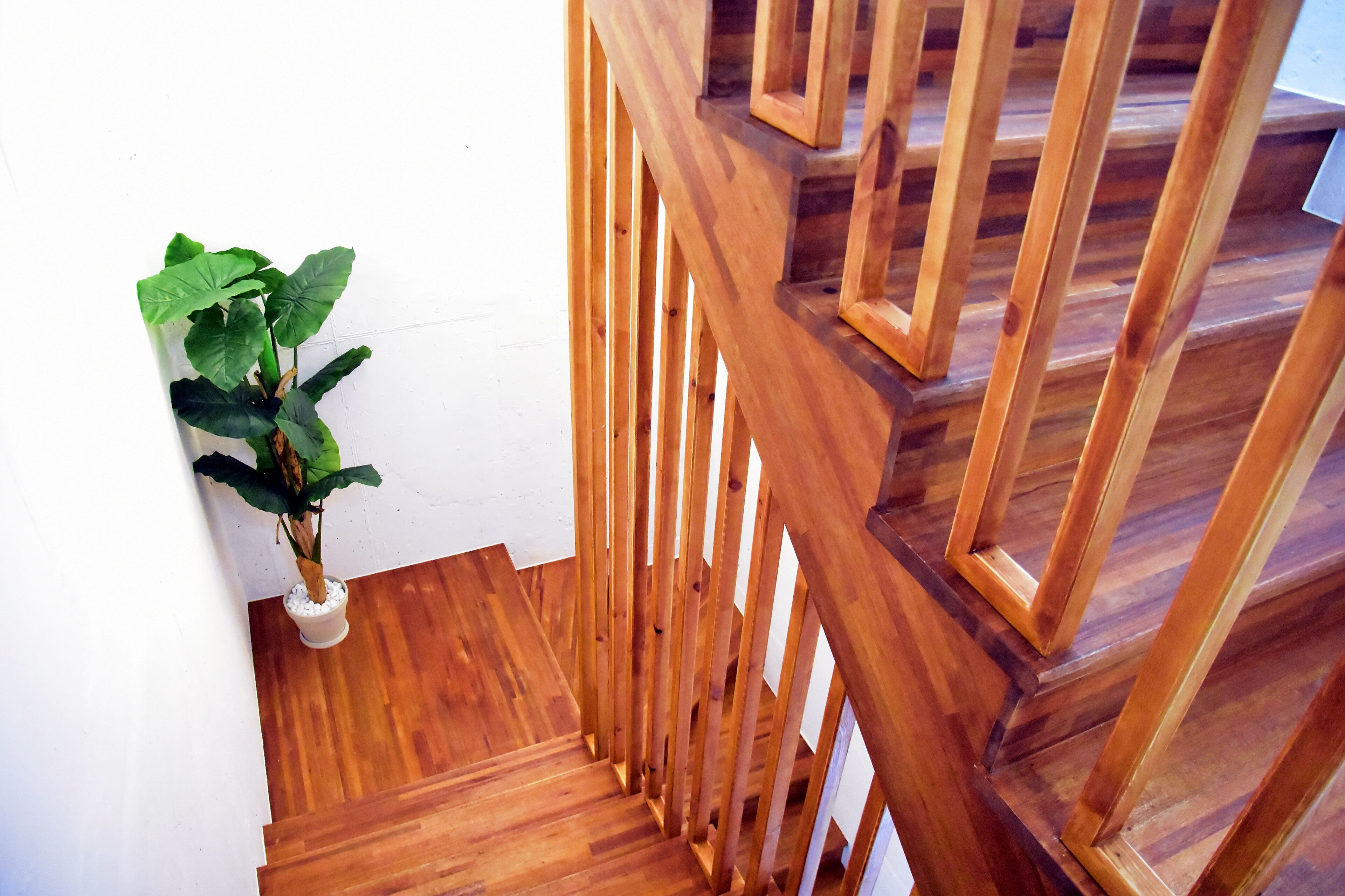Un escalier en bois avec un pot de fleurs placé à côté.