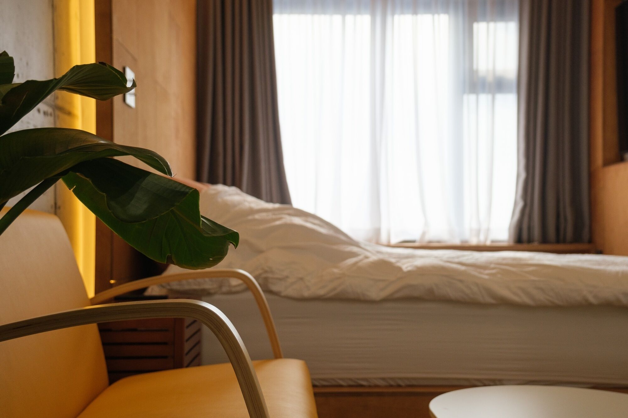 Quarto de hotel com uma cama, uma cadeira e uma planta.