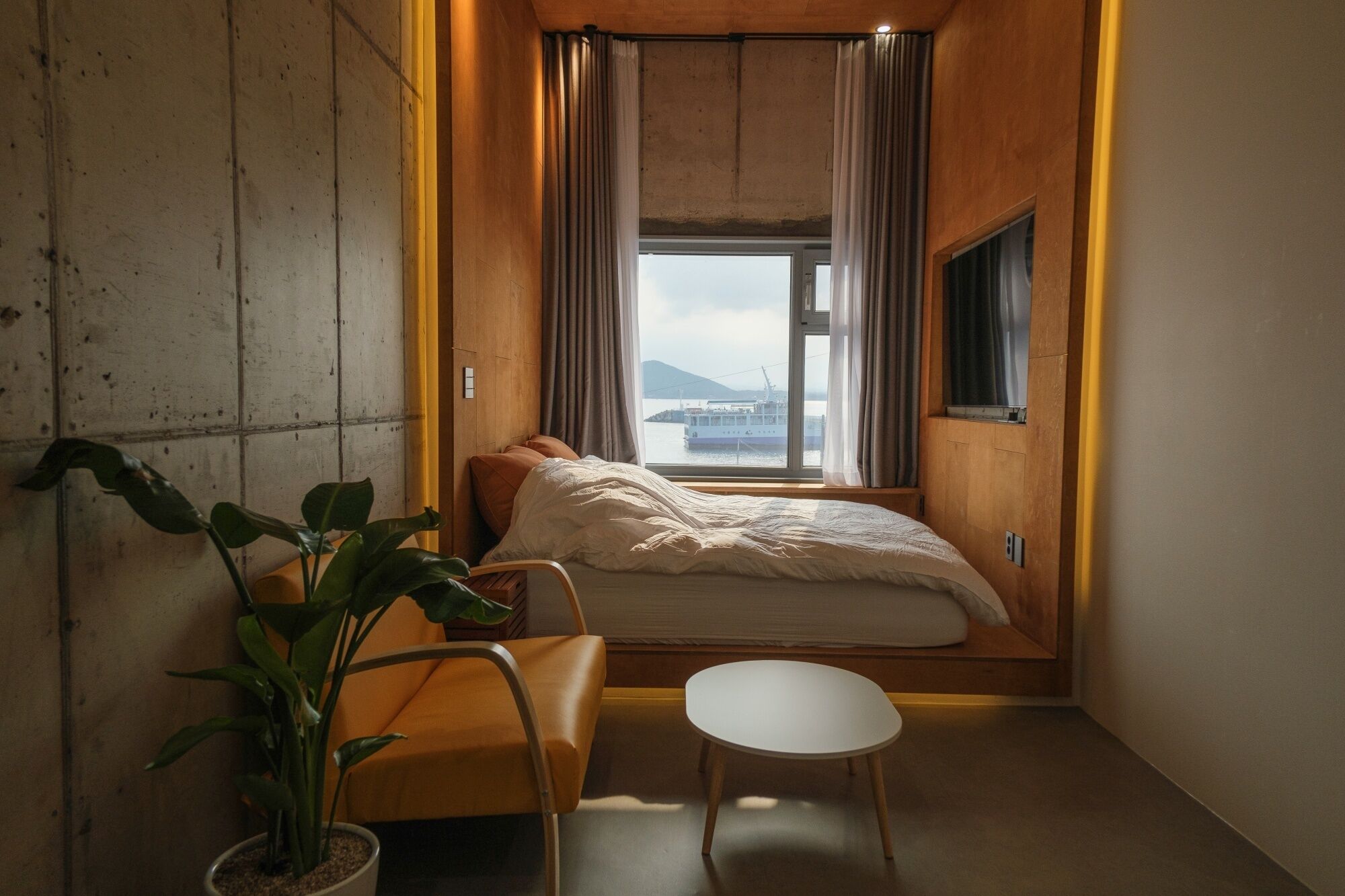 A small, cozy room with a bed, a small table, and a potted plant.
