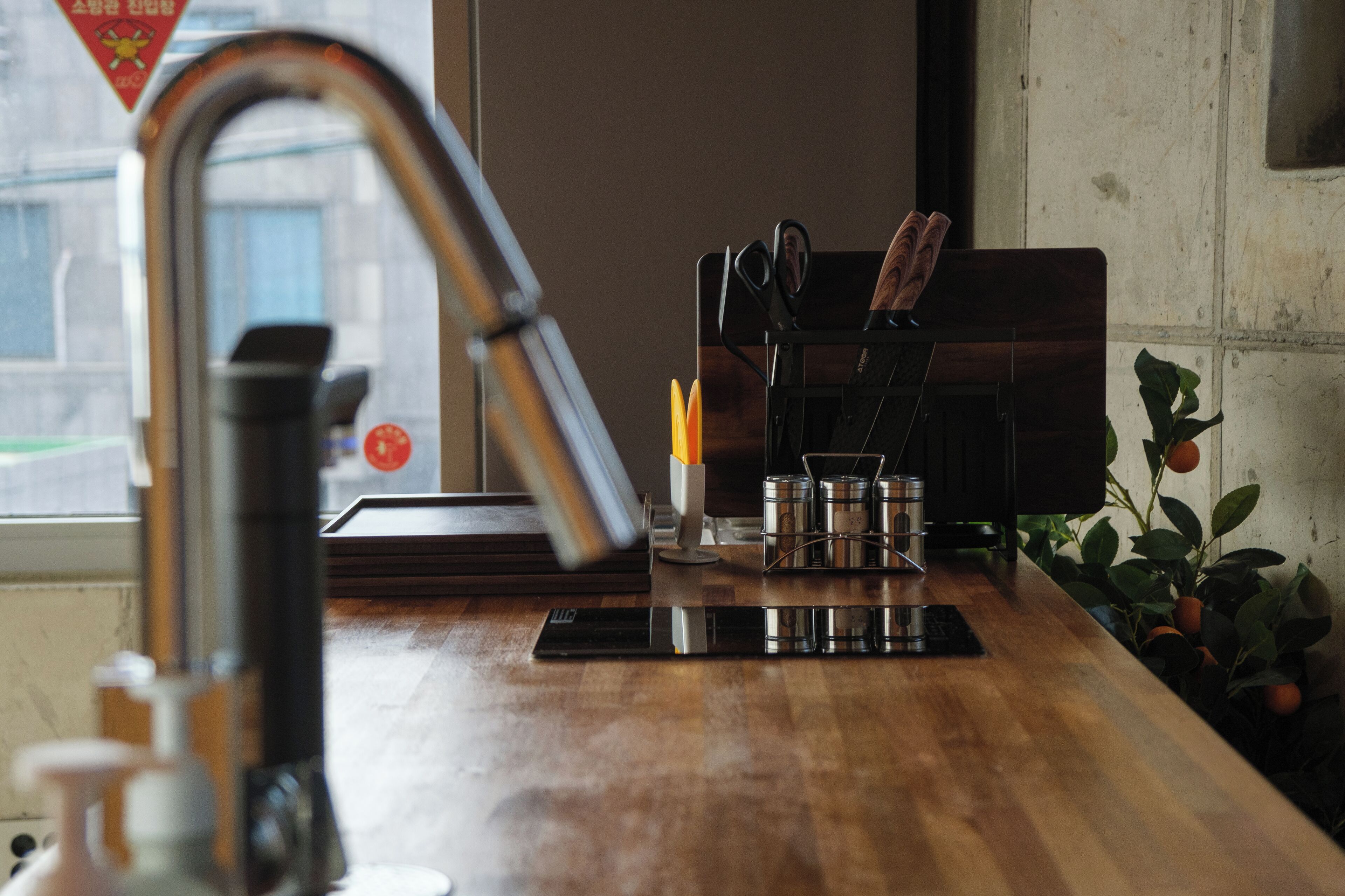 A kitchen counter with a sink, a knife block, and a potted plant.