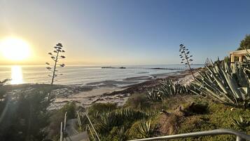 A coastal view with a pier extending into the sea, surrounded by vegetation and a clear sky.
