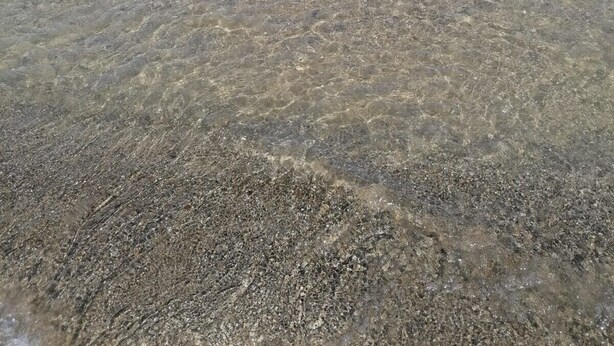 Une plage avec une eau claire et peu profonde, des galets, et des gens qui se baignent et font de la planche à voile.