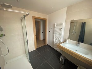 Hair dryer, towels, toilet paper