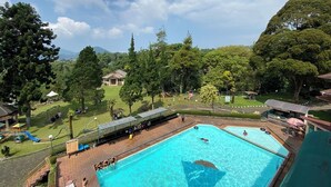 Ein Schwimmbecken mit Sonnenterrasse, umgeben von Bäumen und einer Rasenfläche.