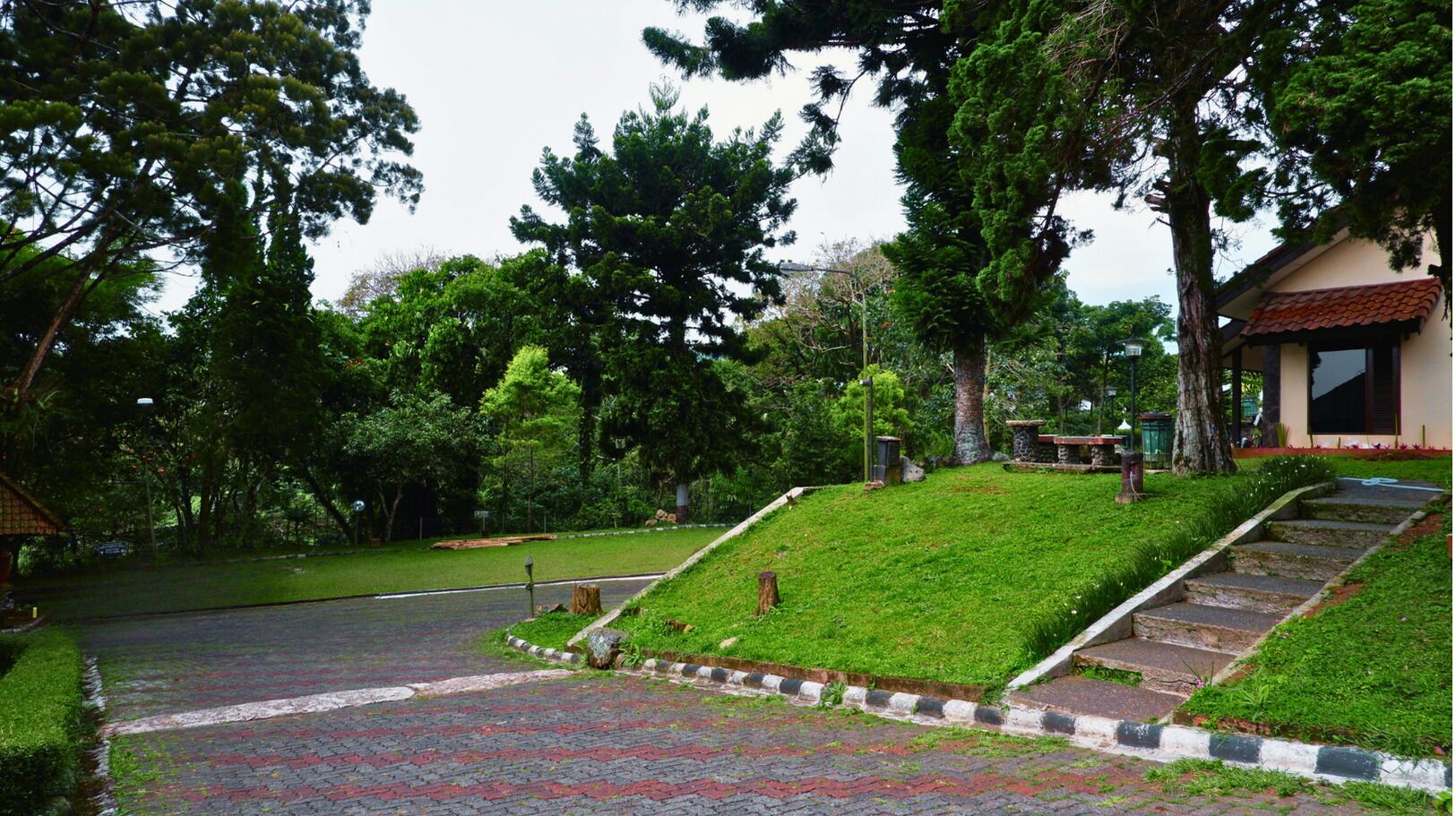 A paved pathway leading to a grassy area with a stone staircase.