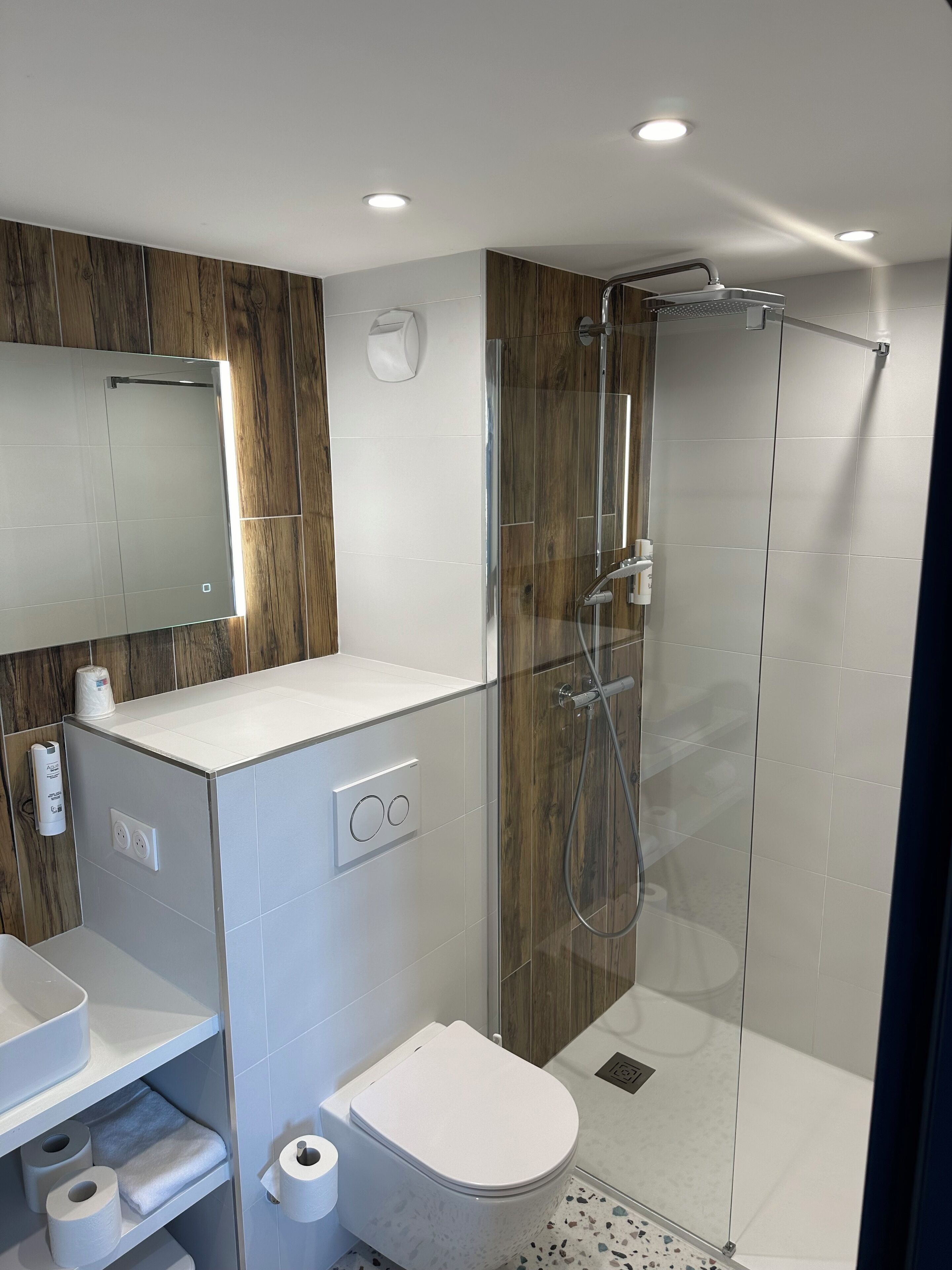 A modern bathroom with a glass shower enclosure, a white sink, and a toilet.