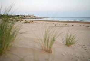 Spiaggia