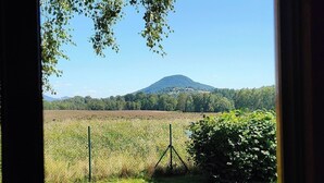 Vista a través de una ventana de un campo cubierto de hierba con una montaña al fondo.