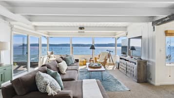 Smart TV, chimenea, reproductor de DVD, libros