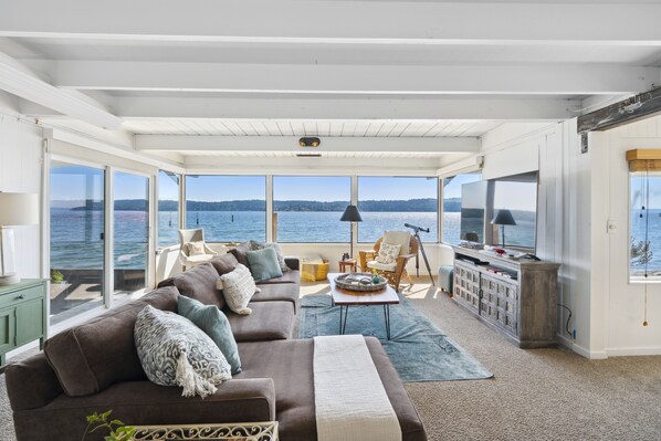 Smart TV, fireplace, DVD player, books