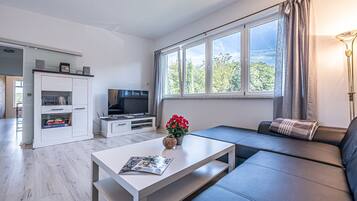 Fernseher, DVD-Player, Bücher, Musikbibliothek