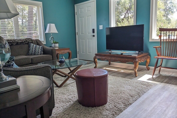 51" Roku TV lets you stream all your favorite services.