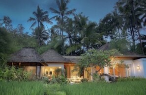 Guest accommodations surrounded by lush greenery and palm trees.