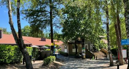 Chalet, with 2 steps in the woods | Veluwe | Kids.