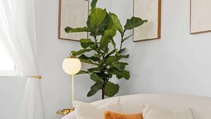 Un canapé blanc avec un coussin marron, une plante en pot et des œuvres d’art encadrées accrochées au mur.
