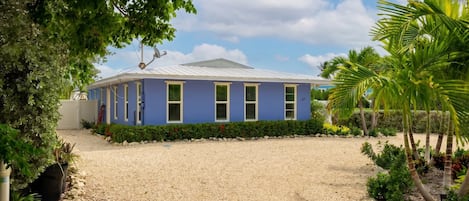 A two-story building with a blue exterior, a gravel driveway, and a well-maintained garden with various plants and a palm tree.