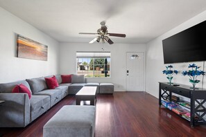 Fernseher, Arbeitsbereiche