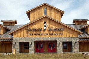 Exterior - Dog friendly, no pet fee! 4bd home w/private pool. (North Myrtle Beach)