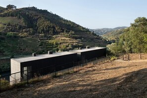 Property grounds - Quinta de São Pedro - Private viewpoint overlooking the Douro (Barrô RSD)