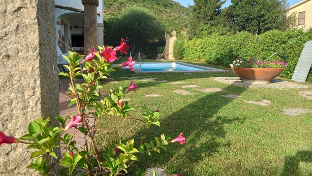 A pool area with a view of a mountain, surrounded by greenery and a stone pathway. - Apartment I Gelsomini # (Tanaunella)