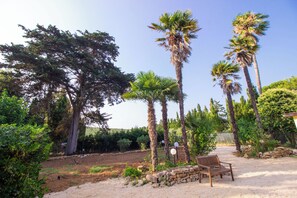 المنطقة المحيطة بالمنشأة