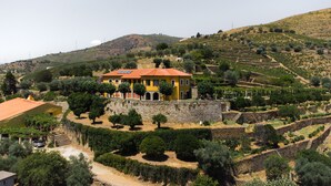 Eine gelbe Villa mit rotem Dach, umgeben von terrassenförmig angelegten Weinbergen und Olivenhainen an einem Hügel.