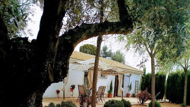 Una casa con entrada de grava, rodeada de árboles y plantas en macetas.