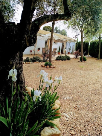 Property grounds. Ideal Para Grupos Familiares , Amigos. Cercano al PN Sierra de Andujar