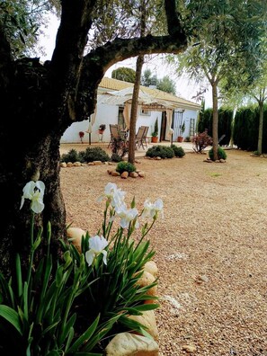 Une maison avec une allée en gravier, entourée d’arbres et de plantes en pot.