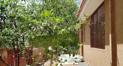 Home Stay in Village Theme Villa