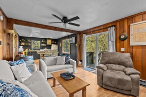 Smart TV, fireplace, books, video library