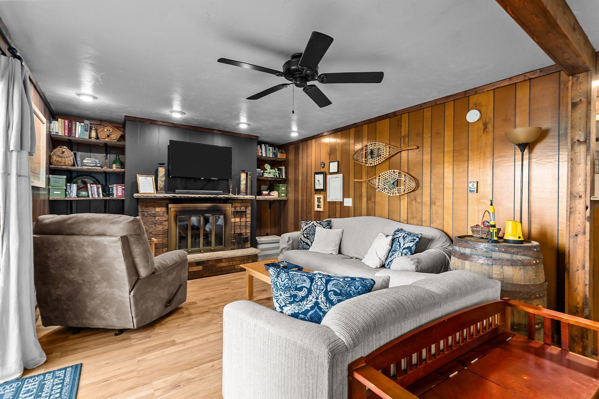 TV connectée, cheminée, livres, vidéothèque