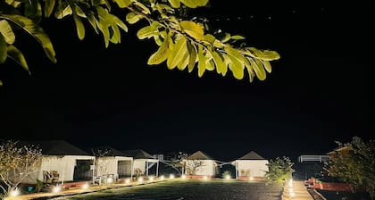 Leopard Valley Ranthambhore