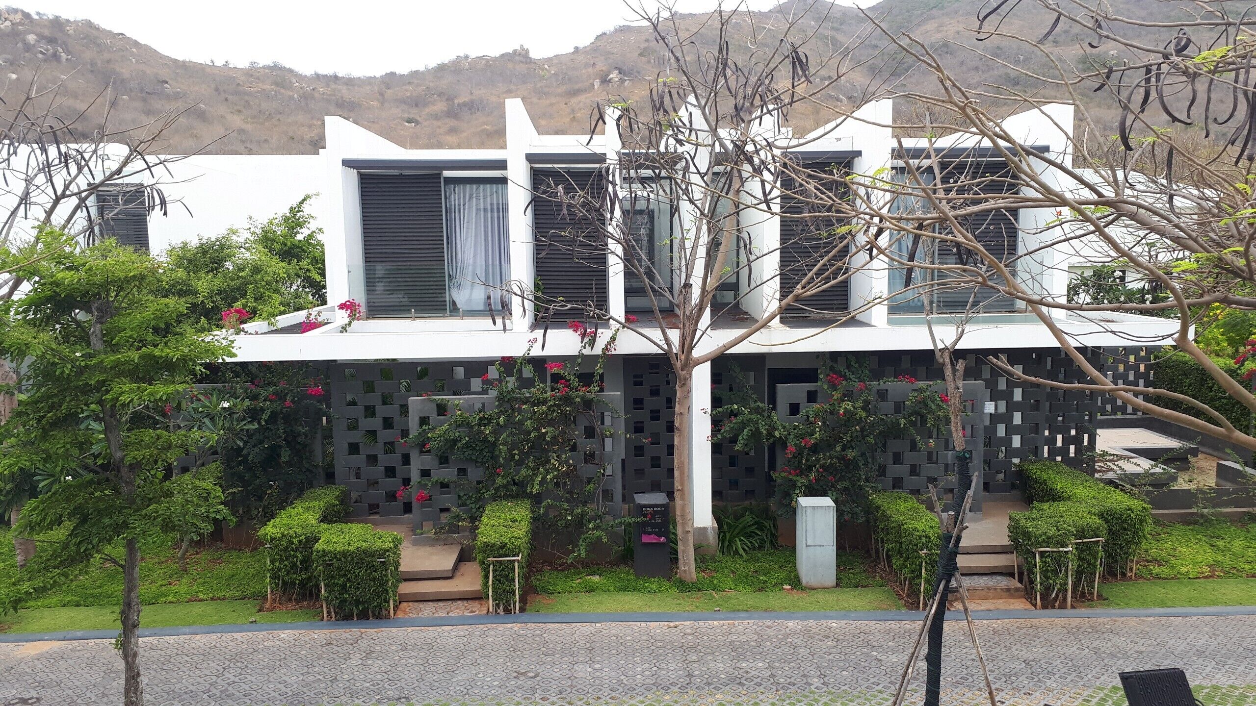 A modern building with a flat roof, large windows, and a garden with various plants and flowers.