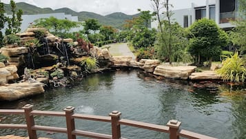 湖景