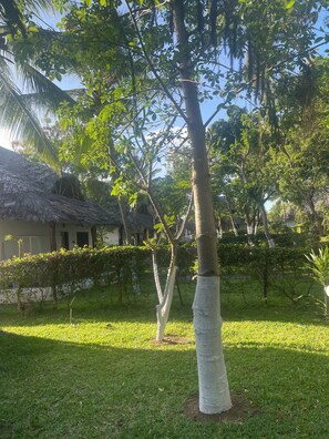 Property grounds - Cosy villa home 5 mins from beach (Malindi)