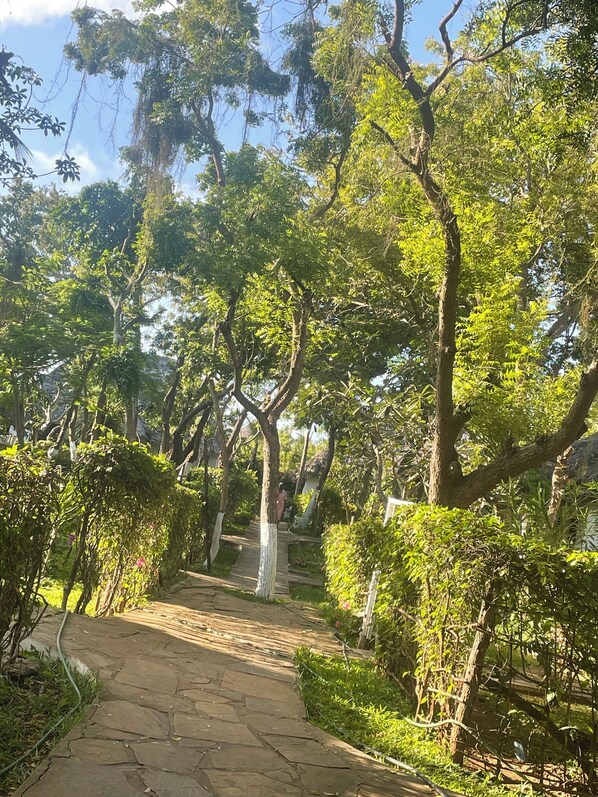 Enceinte de l’hébergement