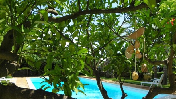 A swimming pool surrounded by lush greenery and a tree branch overhead. - Dabbanna home (Chiaramonte Gulfi)