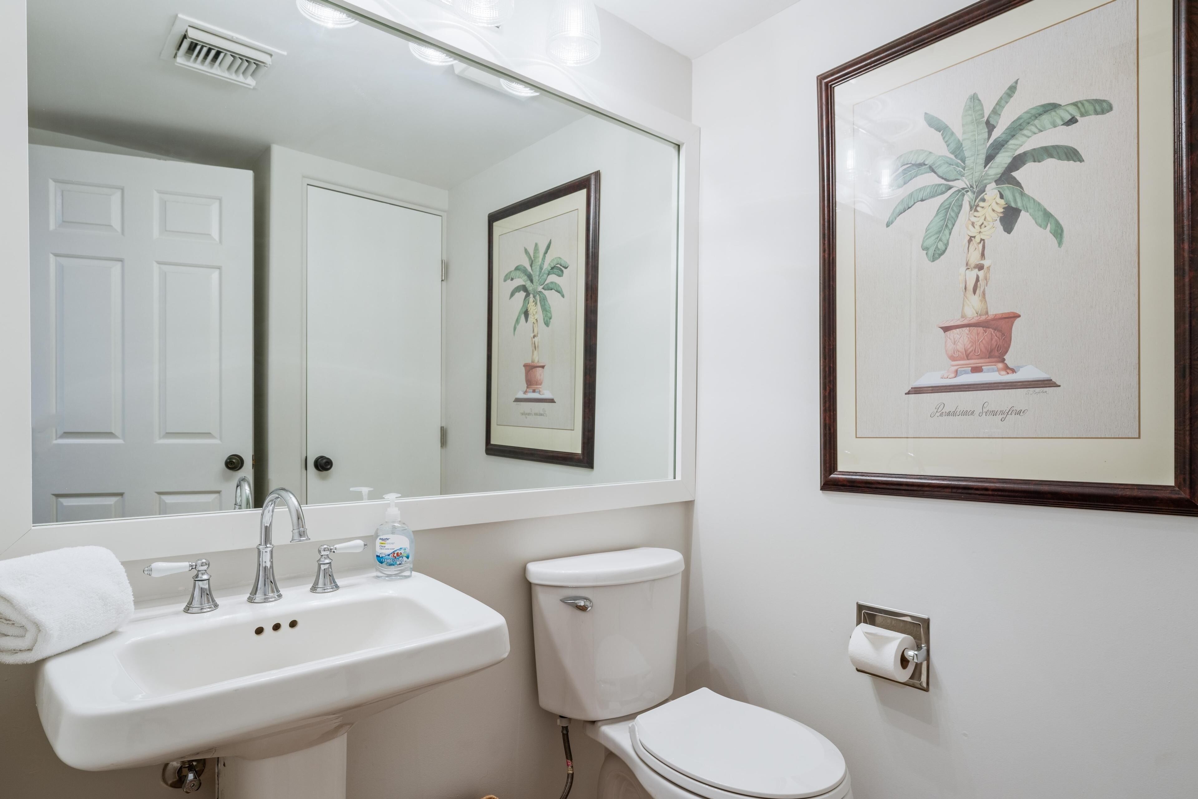 A bathroom with a white sink, a toilet, a framed picture of a plant, and a mirror.