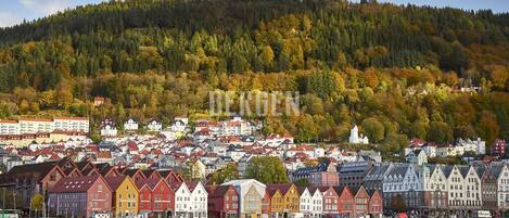 A coastal town with colorful houses and a hill in the background.