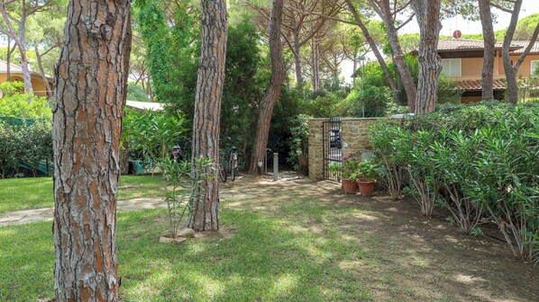 A garden with tall trees, a stone wall, and a pathway leading to a building.
