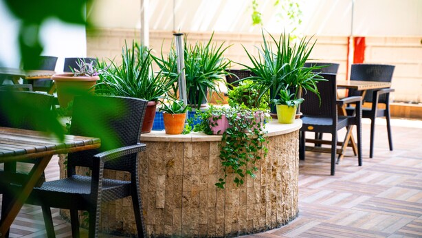 A wooden table surrounded by chairs, with potted plants on a circular wooden stand. - Şirin Rezidence (Denizli)