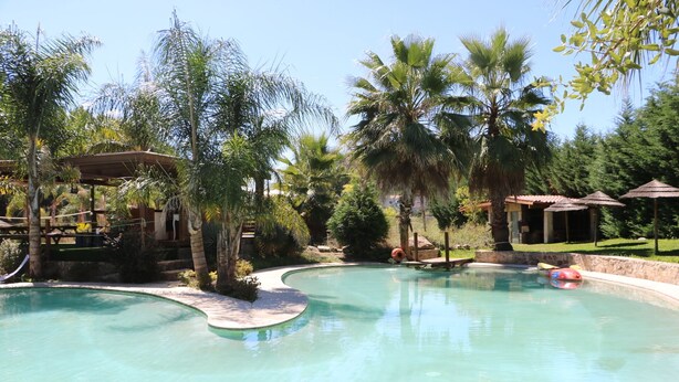 A swimming pool surrounded by palm trees and a wooden deck. - Duas Quintas Areal - Estudio com Vista Jardim (Nespereira GMR)