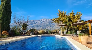 A swimming pool with a mountain backdrop, surrounded by various plants and trees.
