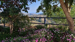 A garden with a variety of flowers and a view of a hilly landscape. - Casa El Mirador Offers Spectacular Views, Comfort, and a Heated Pool (arenas)