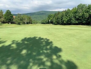 A golf course with a flagstick in the center, surrounded by trees and a mountain in the background. - 4 Season Spyglass Townhouse on Haystack Golf Course
Ski/Board/Golf/Hike/Relax (Wilmington)