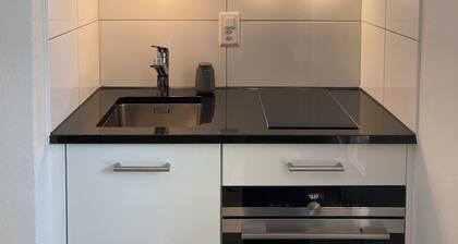 Furnished garden studio in ZĂŒrich by the lake